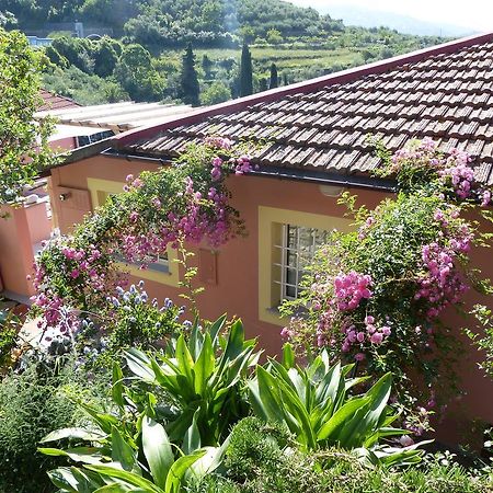 Belvedere Lodge Chiavari Eksteriør bilde